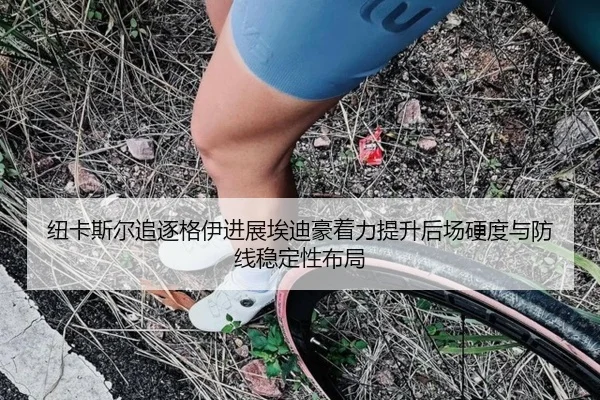 纽卡斯尔追逐格伊进展埃迪豪着力提升后场硬度与防线稳定性布局 | kaiyun